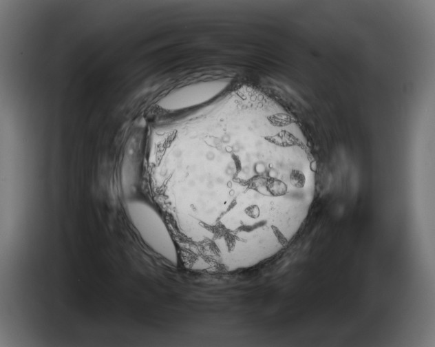 X0000083030917200703022023