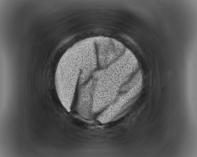 X0000083030919200703022023