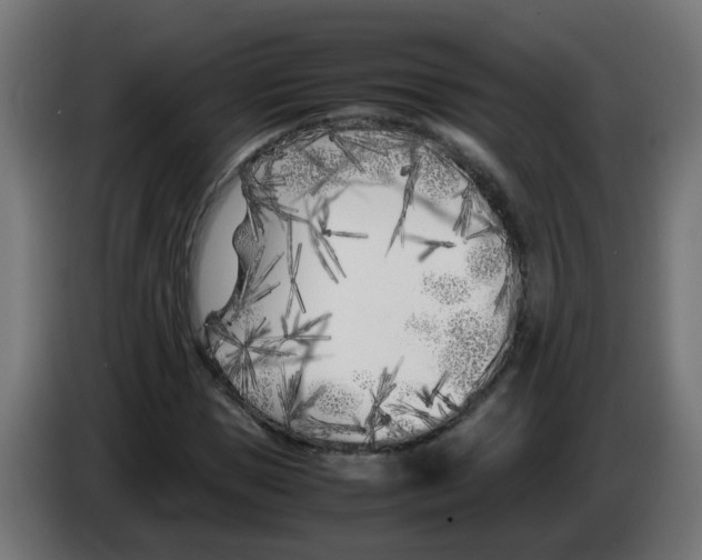 X0000083030921200703022023