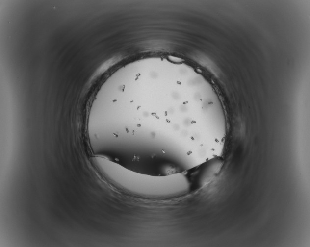 X0000083030922200703022023