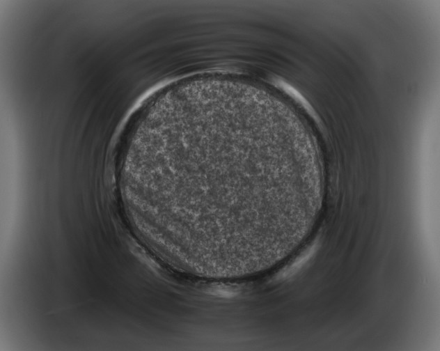 X0000083030923200703022023