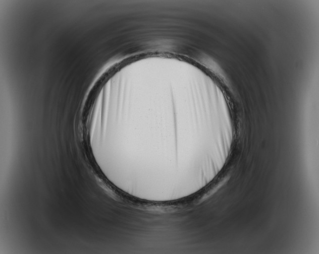 X0000083030924200703022023