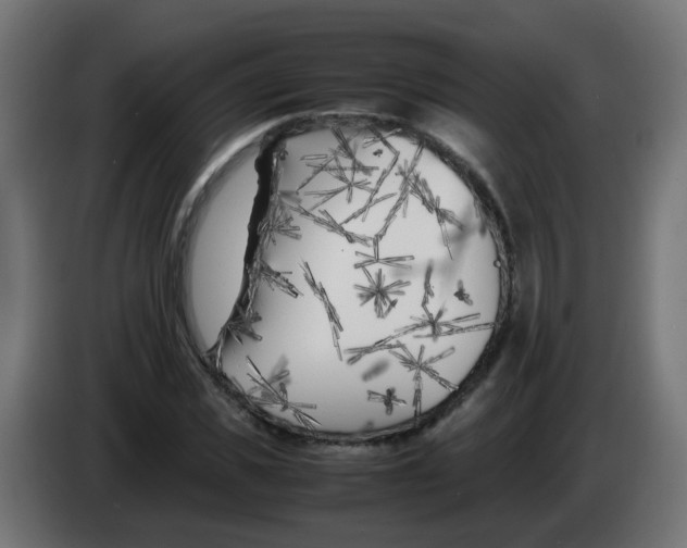 X0000083030925200703022023