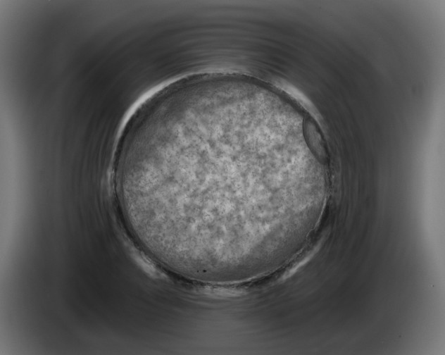 X0000083030928200703022023