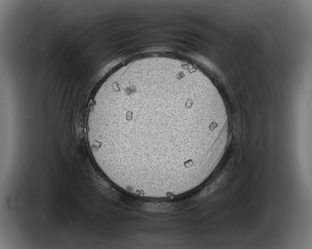 X0000083030929200703022023