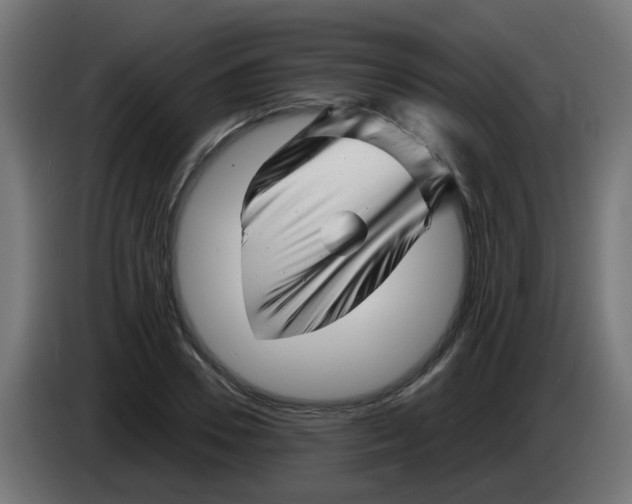 X0000083030930200703022023