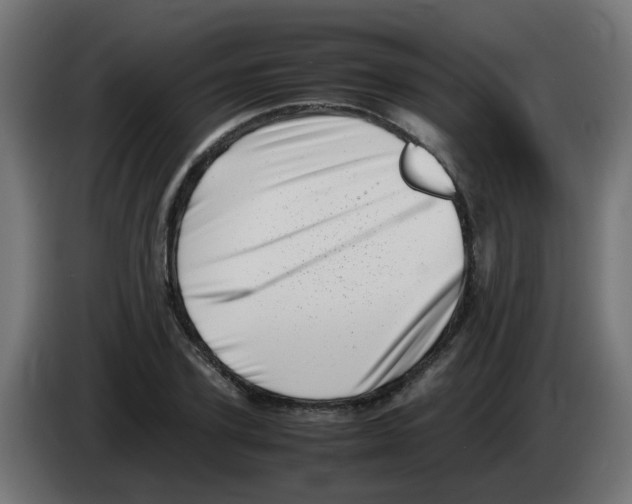 X0000083030931200703022023