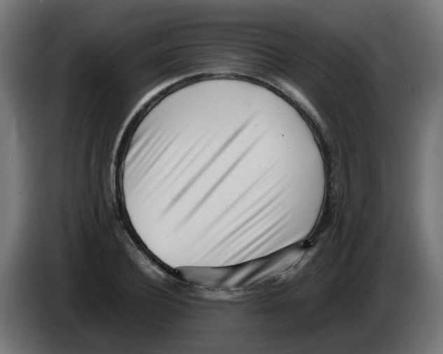 X0000083030932200703022023