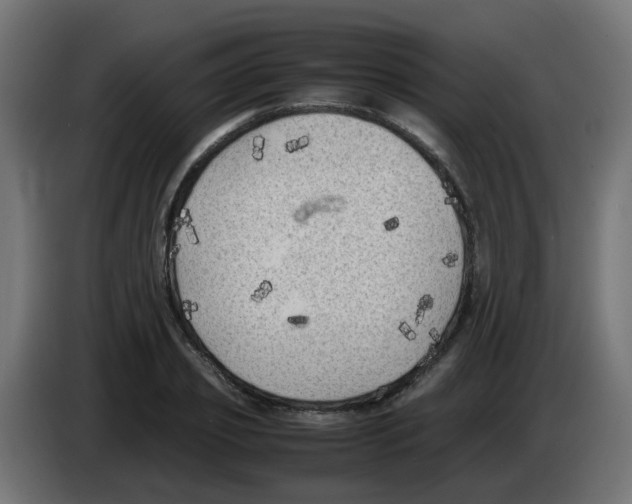 X0000083030933200703022023