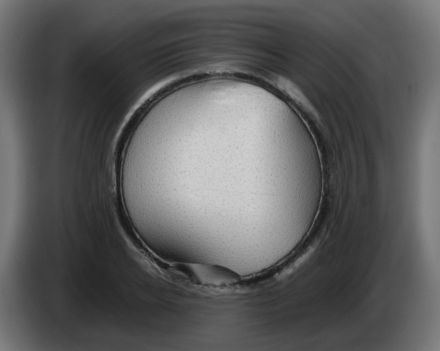 X0000083030934200703022023