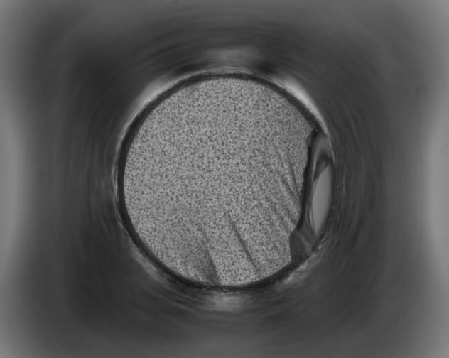 X0000083030935200703022023