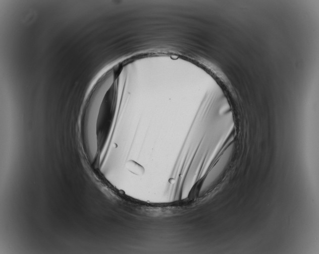 X0000083030936200703022023