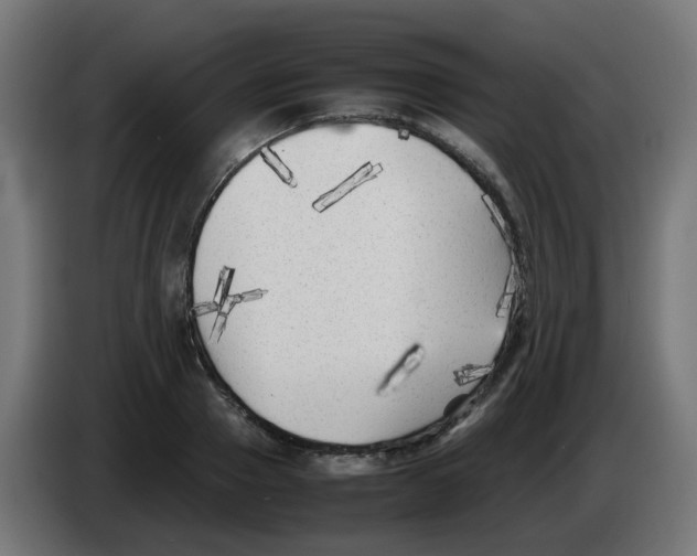 X0000083030937200703022023