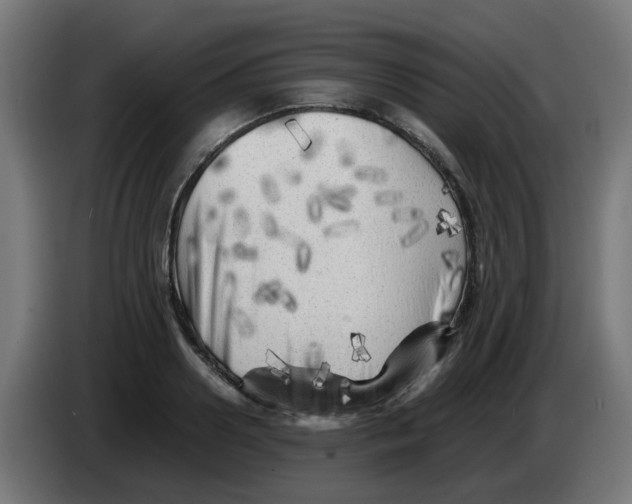 X0000083030938200703022023