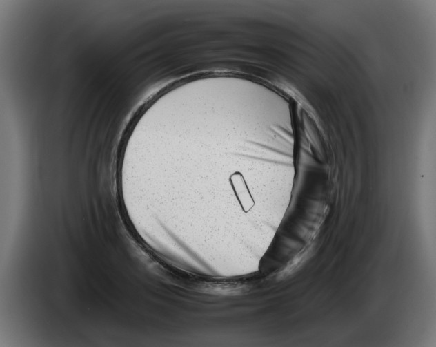 X0000083030939200703022023