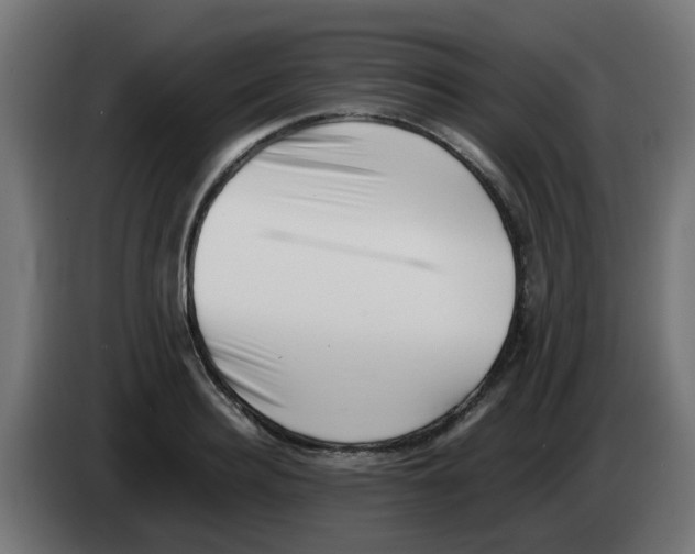 X0000083030940200703022023