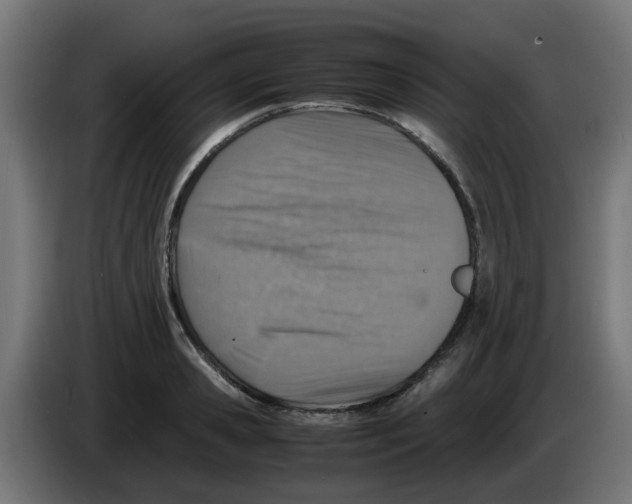 X0000083030941200703022023