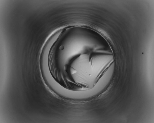 X0000083030942200703022023