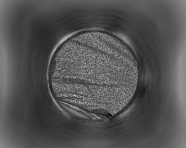 X0000083030943200703022023