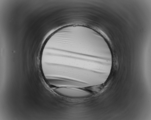 X0000083030944200703022023