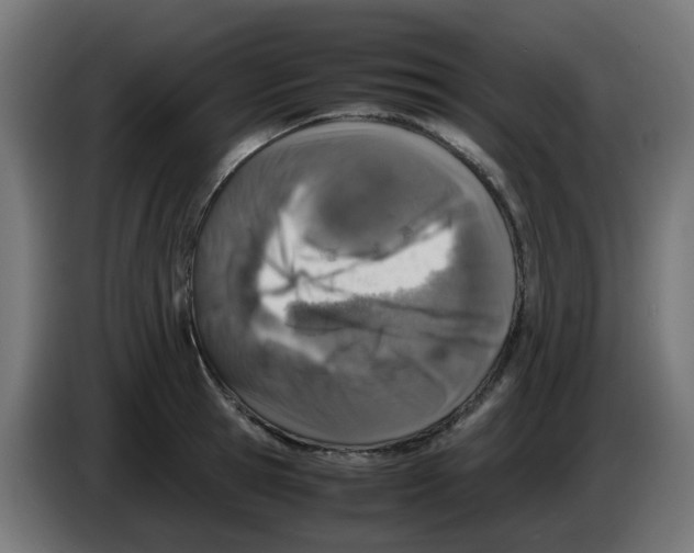 X0000083030945200703022023