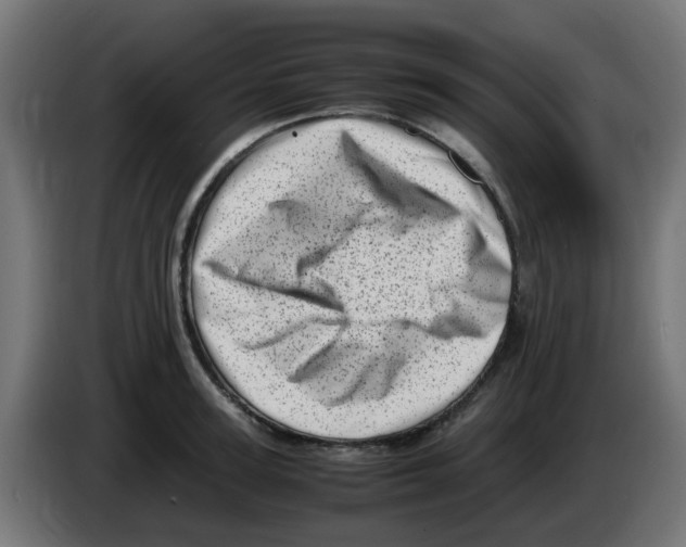 X0000083030947200703022023