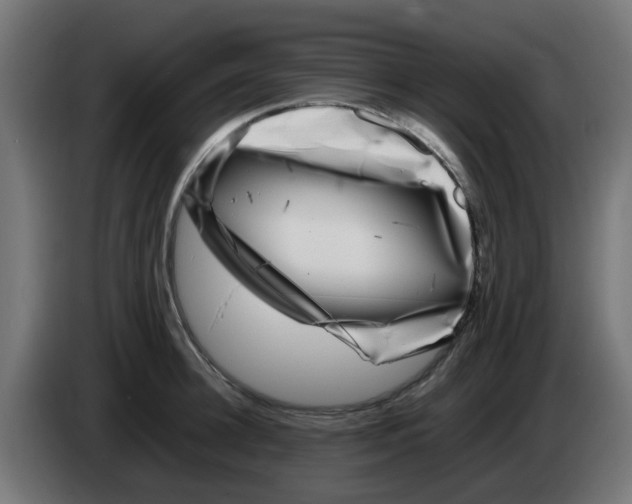 X0000083030948200703022023