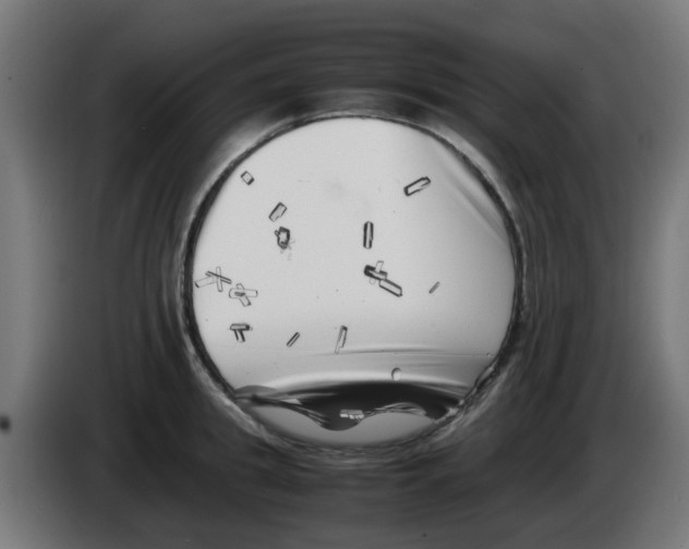 X0000083030949200703022023