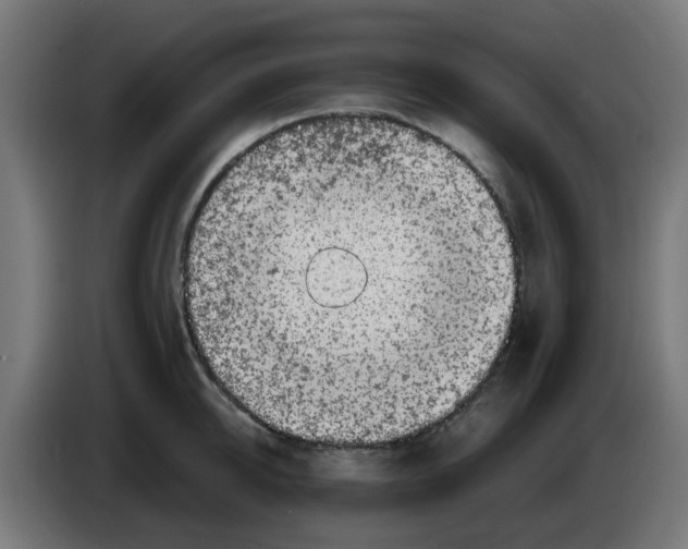 X0000083030950200703022023