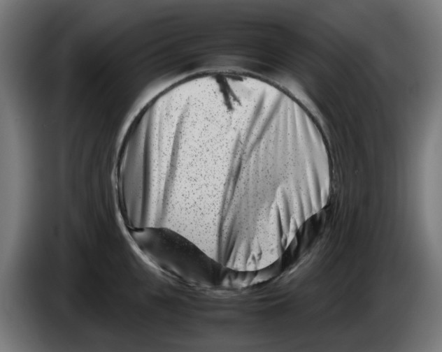 X0000083030951200703022023