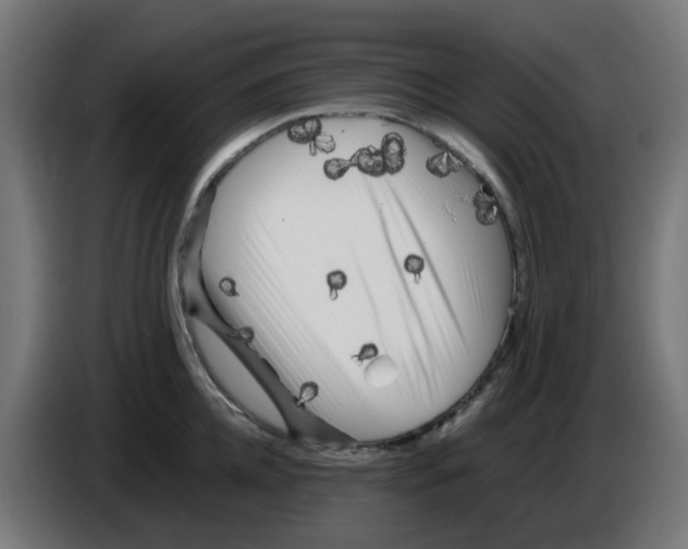 X0000083030952200703022023