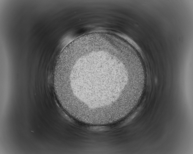 X0000083030953200703022023