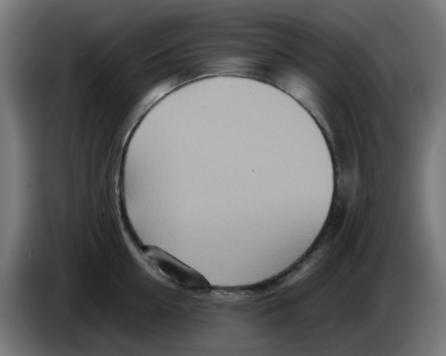 X0000083030954200703022023