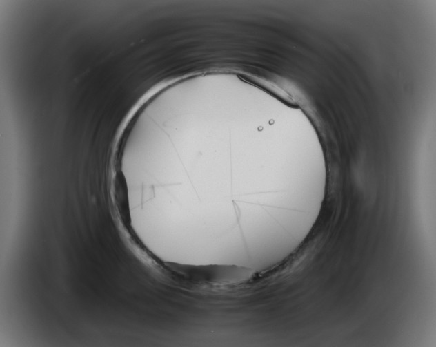 X0000083030955200703022023