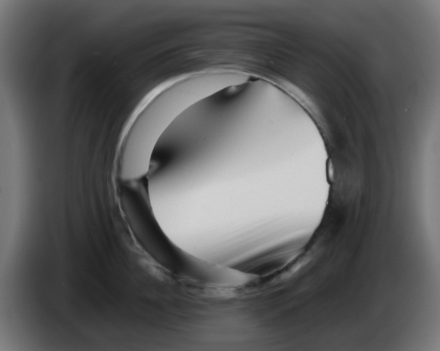 X0000083030956200703022023