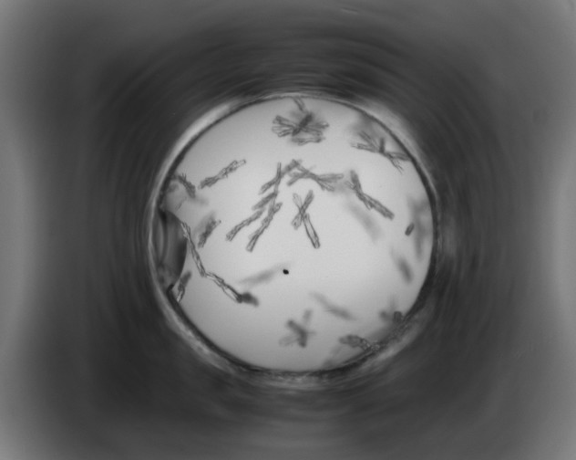 X0000083030957200703022023