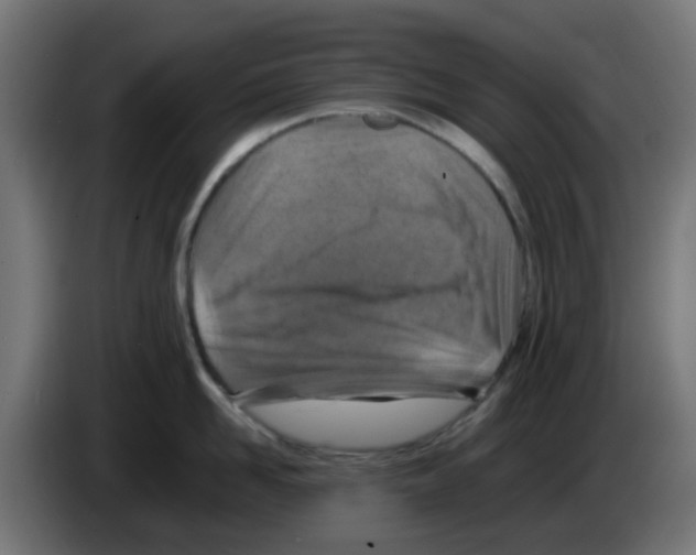 X0000083030958200703022023