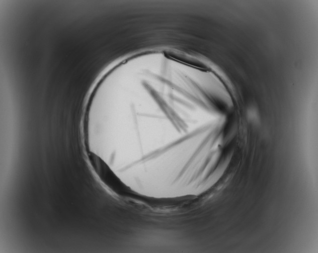 X0000083030959200703022023