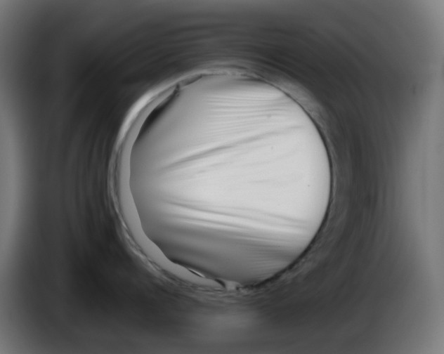 X0000083030960200703022023