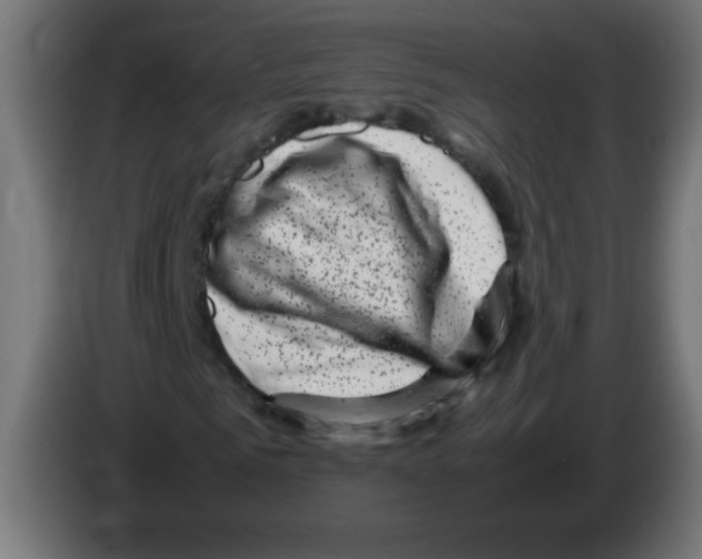 X0000083030961200703022023