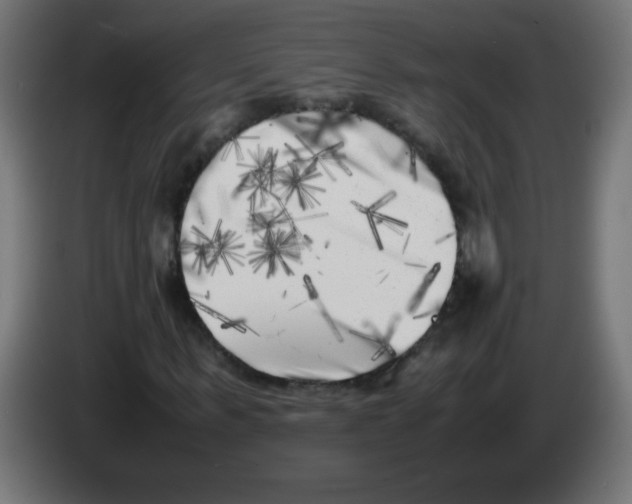 X0000083030963200703022023