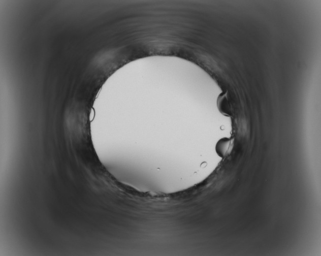 X0000083030964200703022023