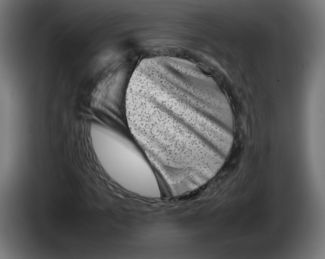 X0000083030965200703022023