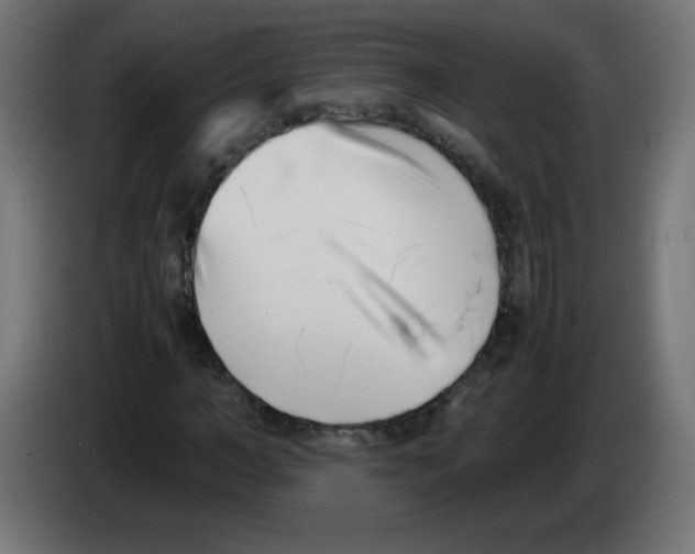 X0000083030966200703022023