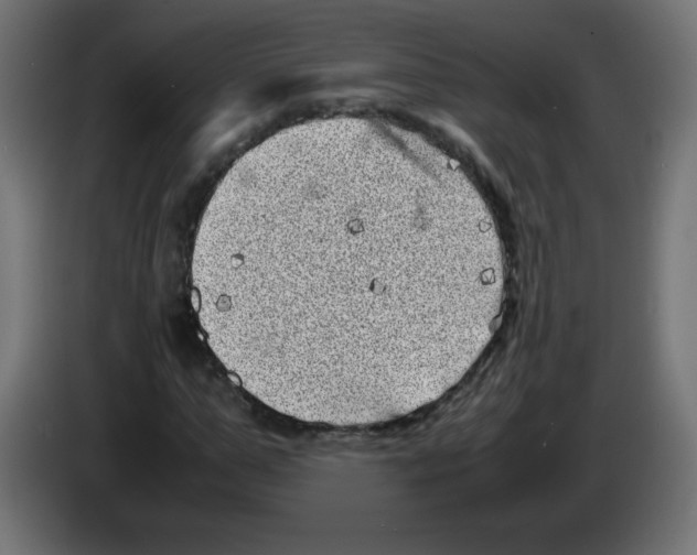 X0000083030967200703022022