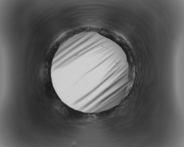 X0000083030968200703022022