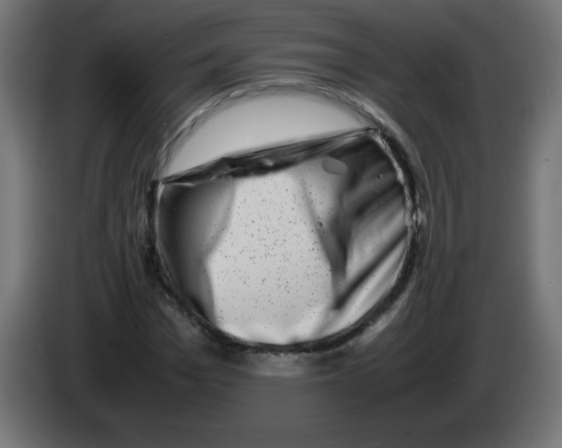 X0000083030969200703022022