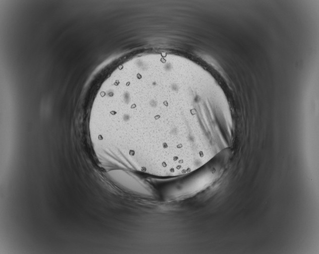 X0000083030971200703022022