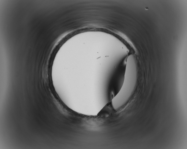 X0000083030972200703022022