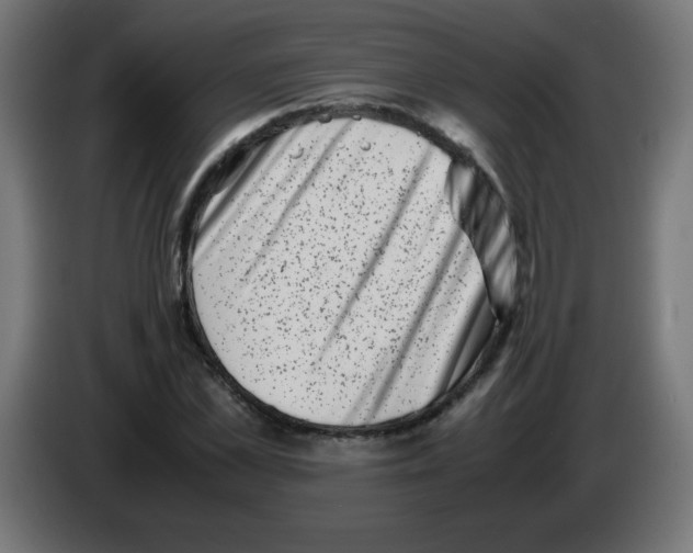 X0000083030973200703022022